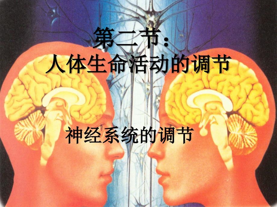 神经调节课件_第3页