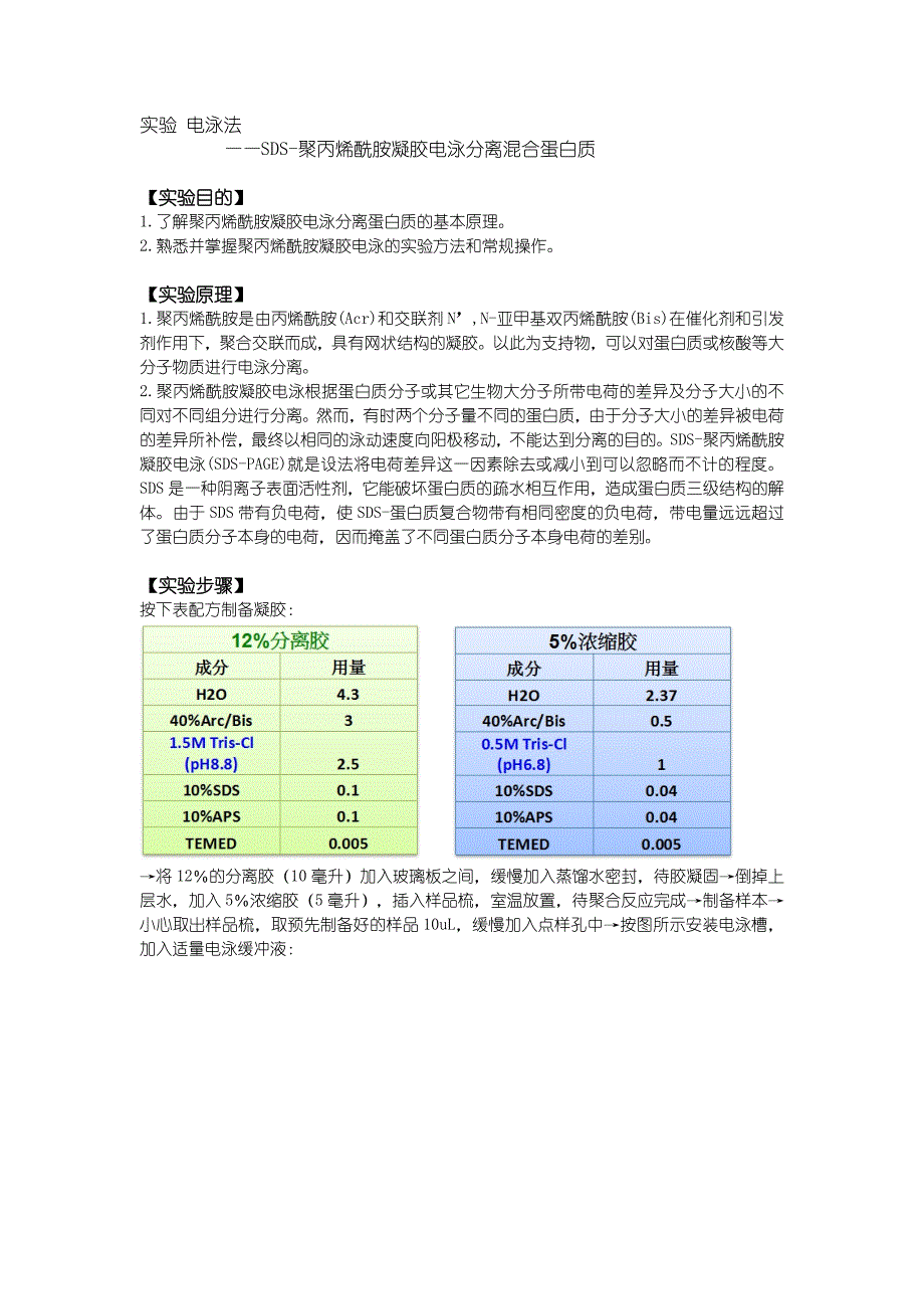 实验SDS聚丙烯酰胺凝胶电泳分离混合蛋白质_第1页