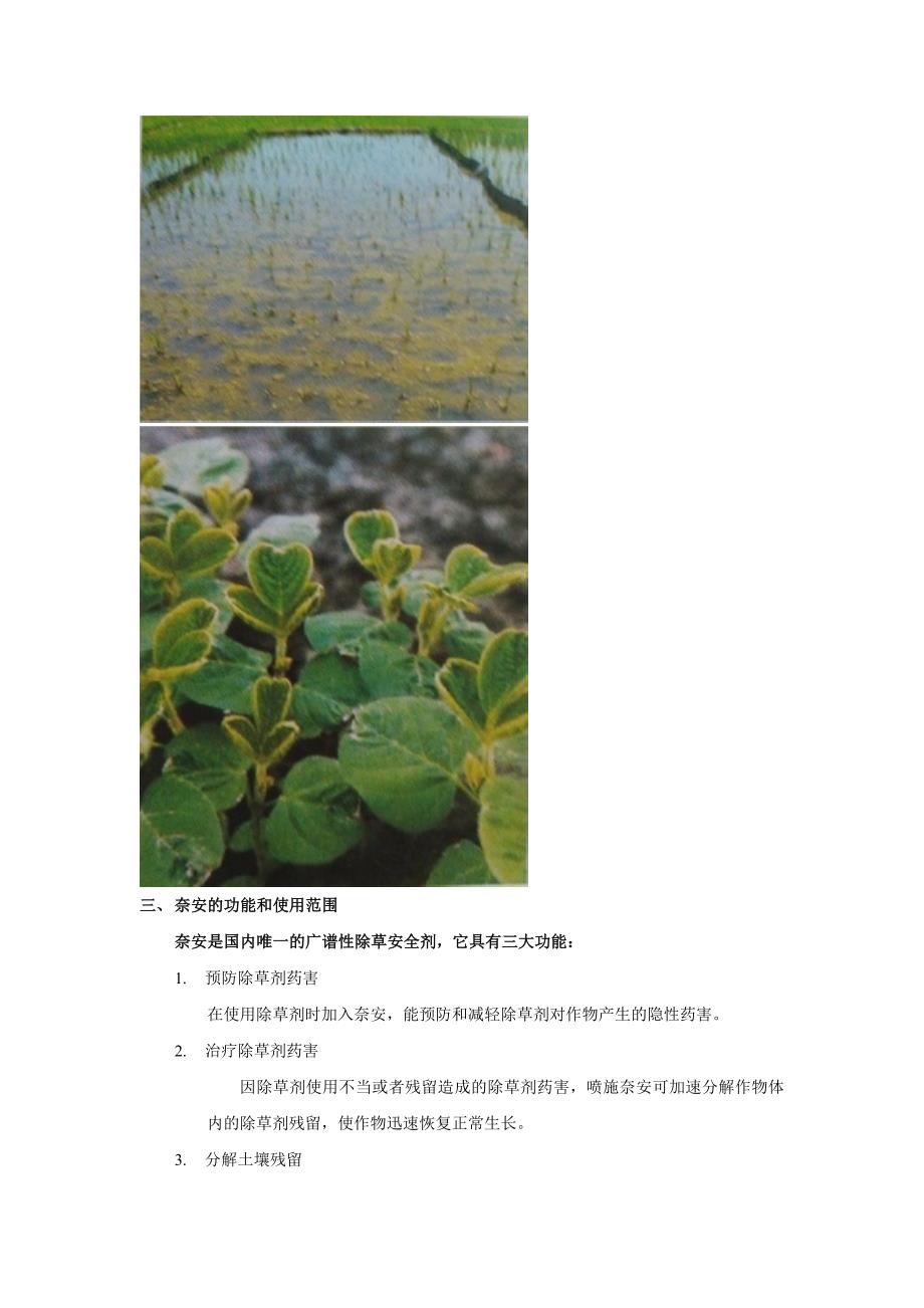 除草剂药害防治及治理.doc_第2页