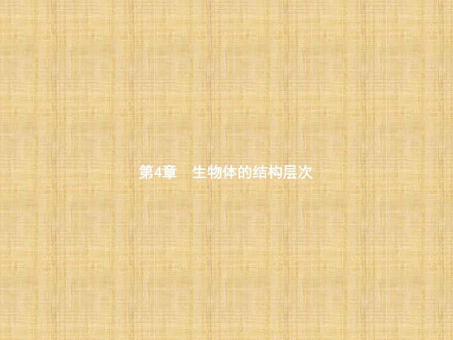 初中七年级生物上册241细胞分化形成组织名师优质课件新版北师大版_第1页