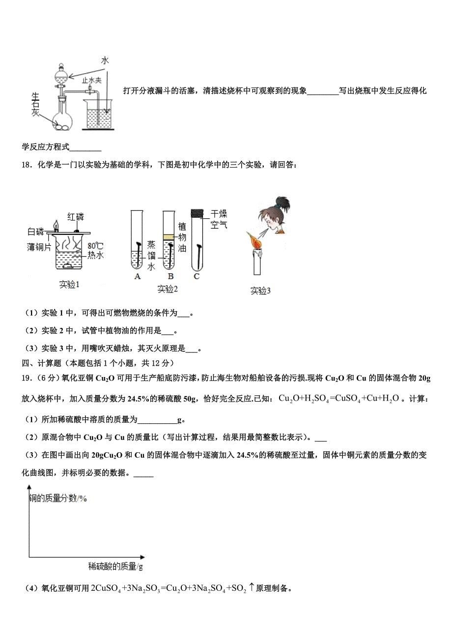 广东省佛山市顺德区碧桂园校2023年中考化学押题卷（含答案解析）.doc_第5页