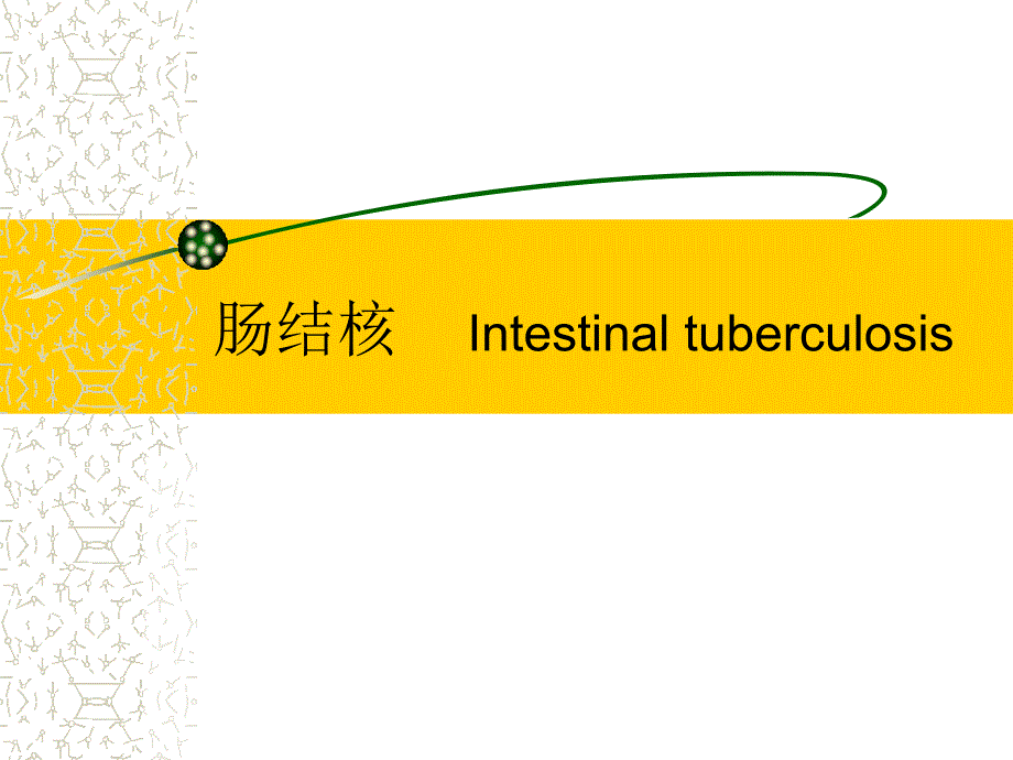 内科学教学课件：肠结核和结核性腹膜炎_第1页