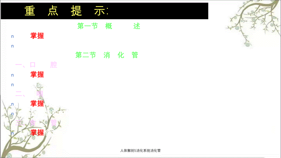 人体解剖5消化系统消化管_第2页