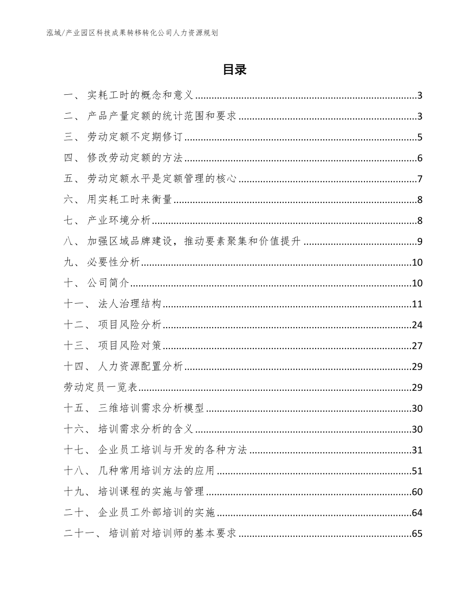 产业园区科技成果转移转化公司人力资源规划【范文】_第2页