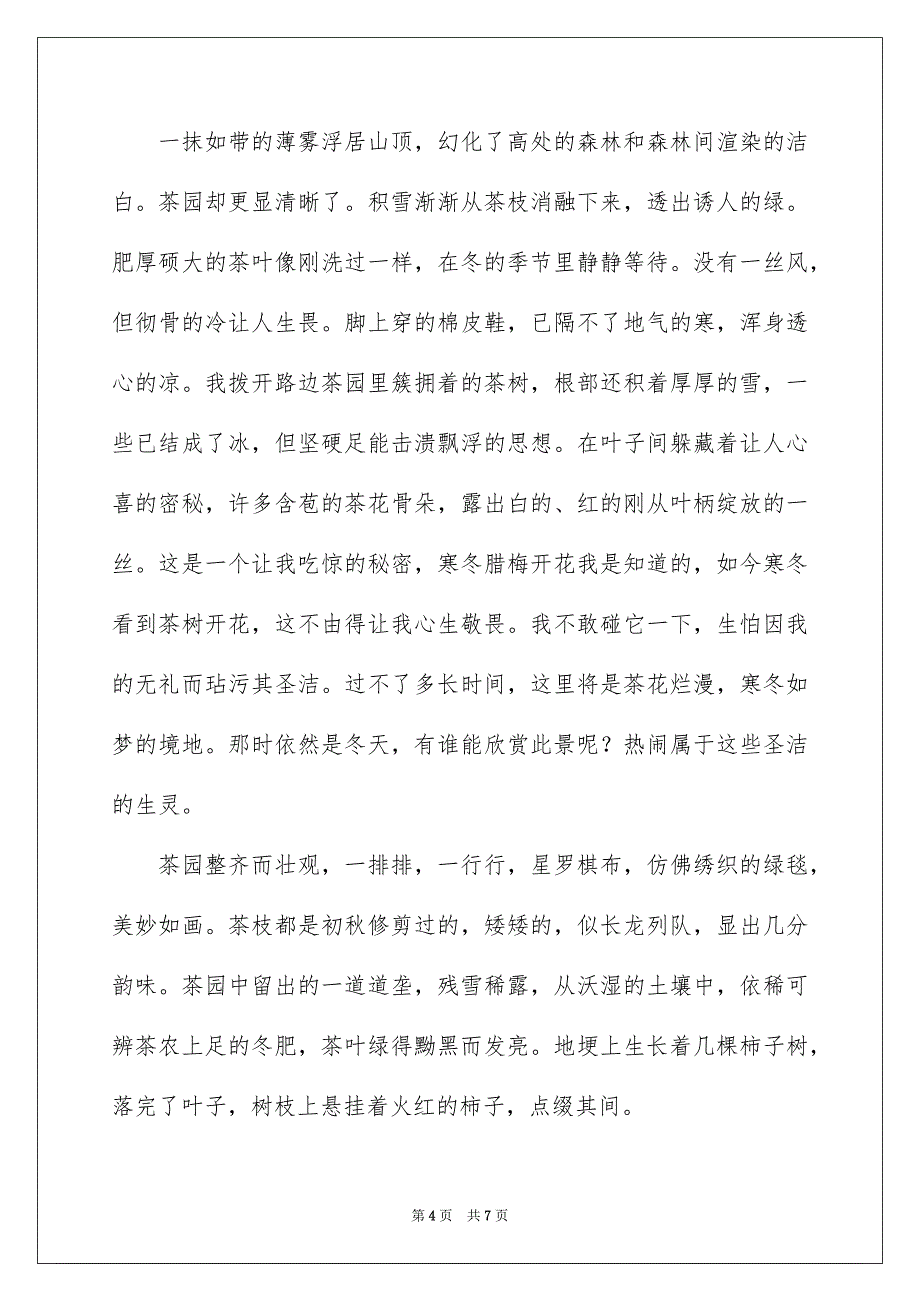 2023冬天写景作文锦集五篇_第4页