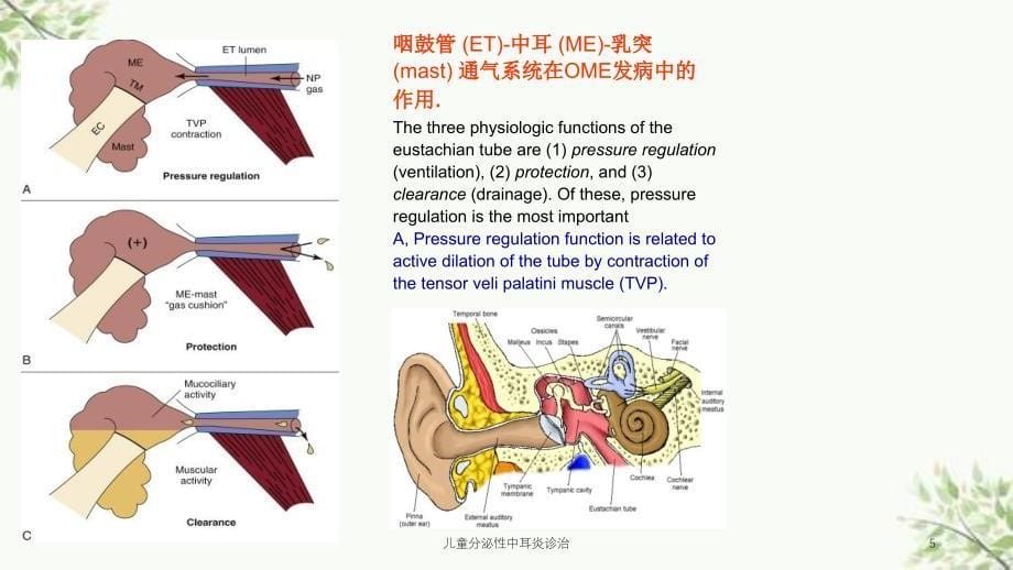 儿童分泌性中耳炎诊治课件_第5页