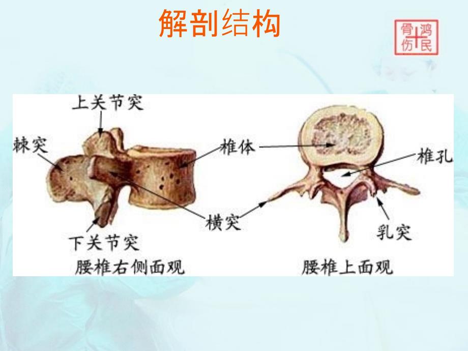 腰椎爆裂骨折护理查房_第4页