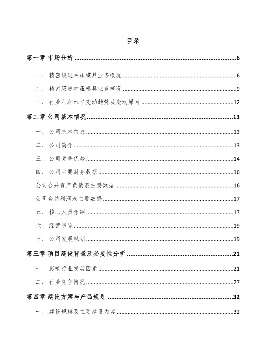 广州精密冲压模具项目可行性研究报告_第1页