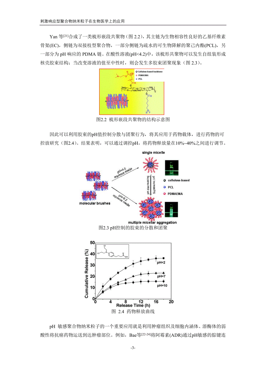 刺激响应型聚合物纳米粒子在生物医学上的应用_第4页