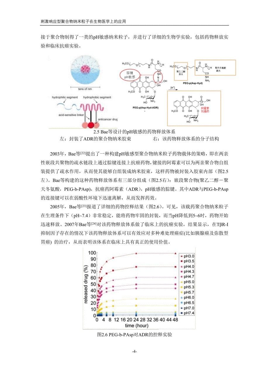 刺激响应型聚合物纳米粒子在生物医学上的应用_第5页