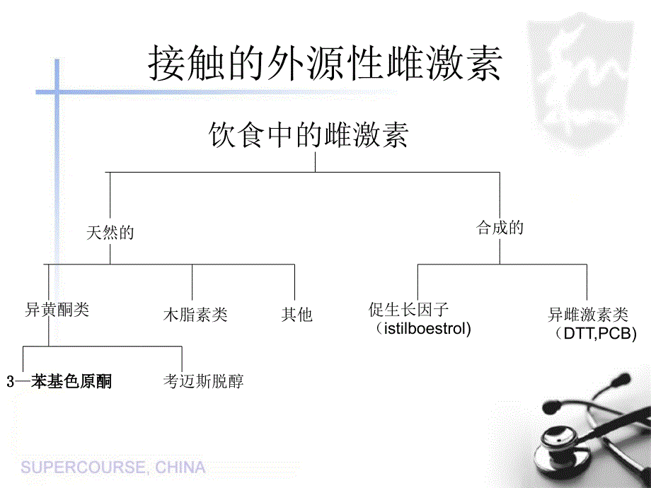 植物雌激素在癌症病因学中作用课件_第3页