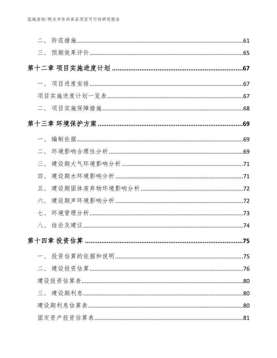 明光市休闲食品项目可行性研究报告参考模板_第5页