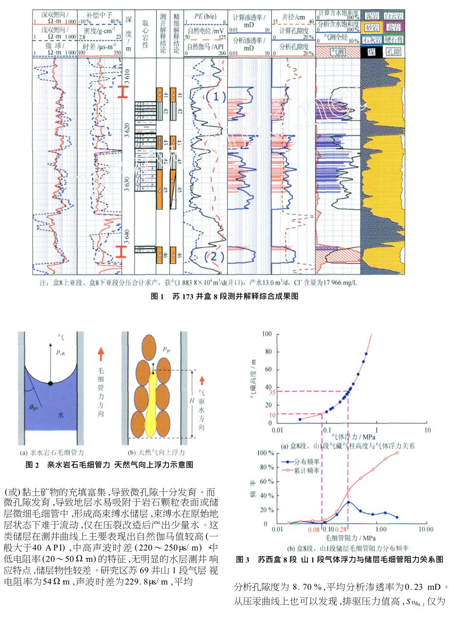 低渗透岩性气藏含水特征分析与测井识别技术以苏里格气田为例.doc_第2页