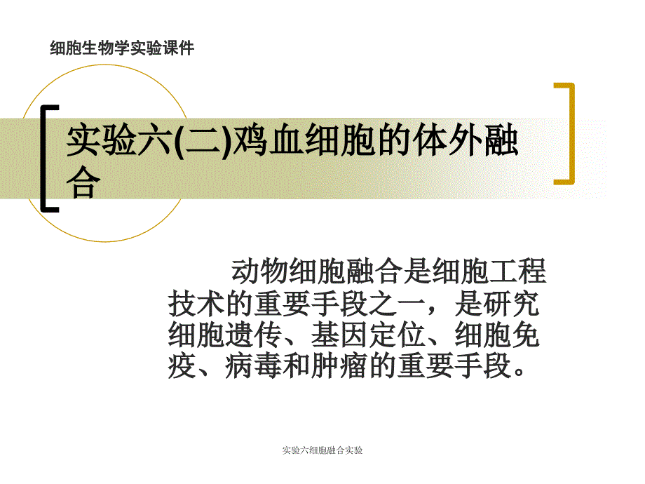 实验六细胞融合实验课件_第1页