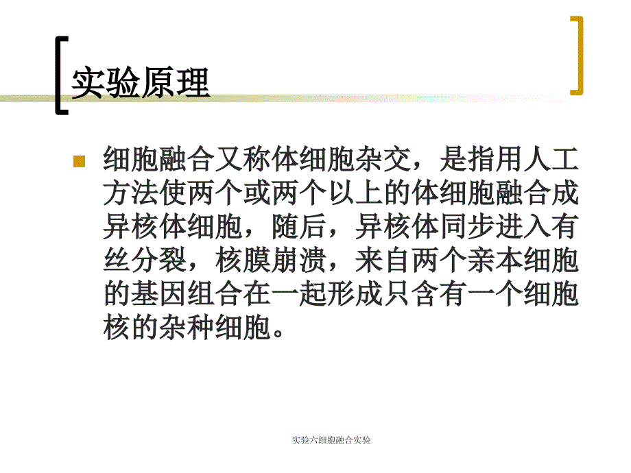 实验六细胞融合实验课件_第3页