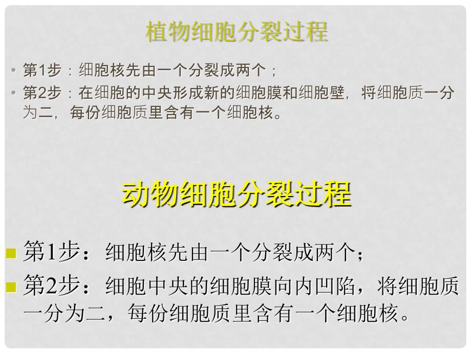 七年级生物上册 第三章 第三节 细胞分裂与分化课件 苏教版_第4页