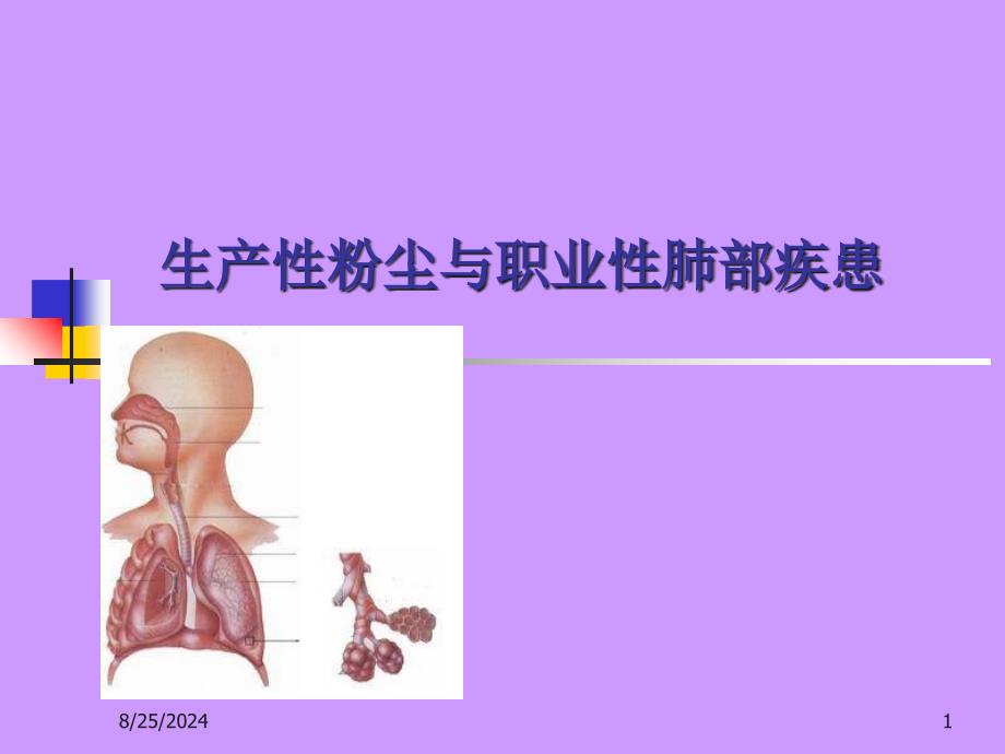 生产性粉尘与肺部疾患_第1页