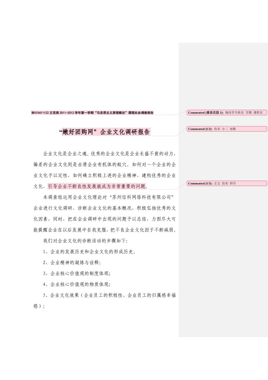 关于嫩好团购网企业文化的调研报告_第1页