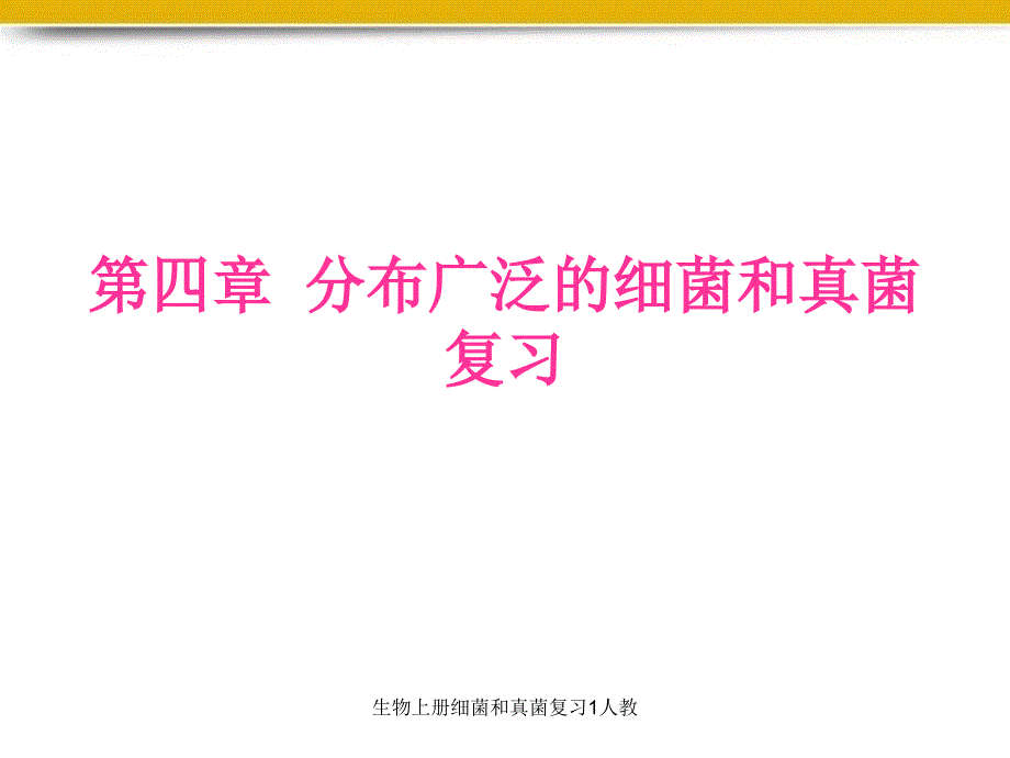 生物上册细菌和真菌复习1人教课件_第1页