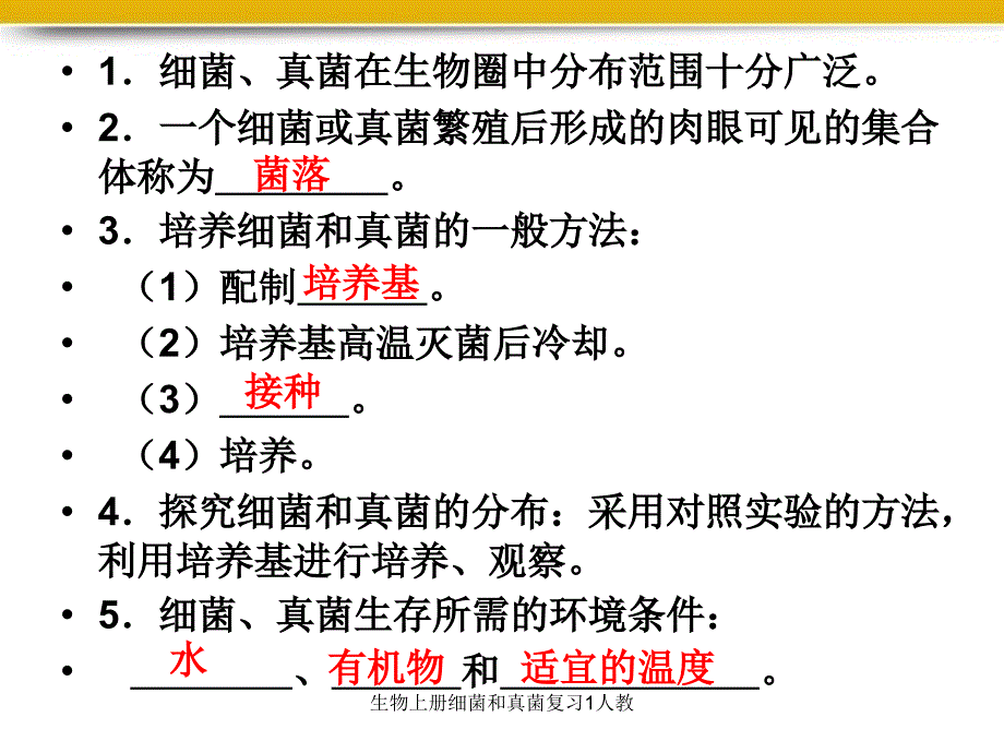 生物上册细菌和真菌复习1人教课件_第3页