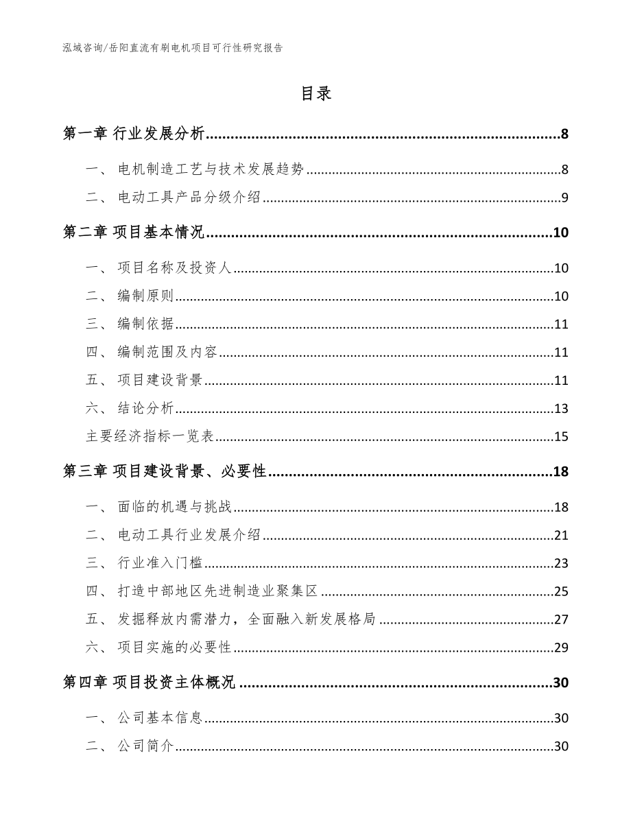 岳阳直流有刷电机项目可行性研究报告【范文】_第2页