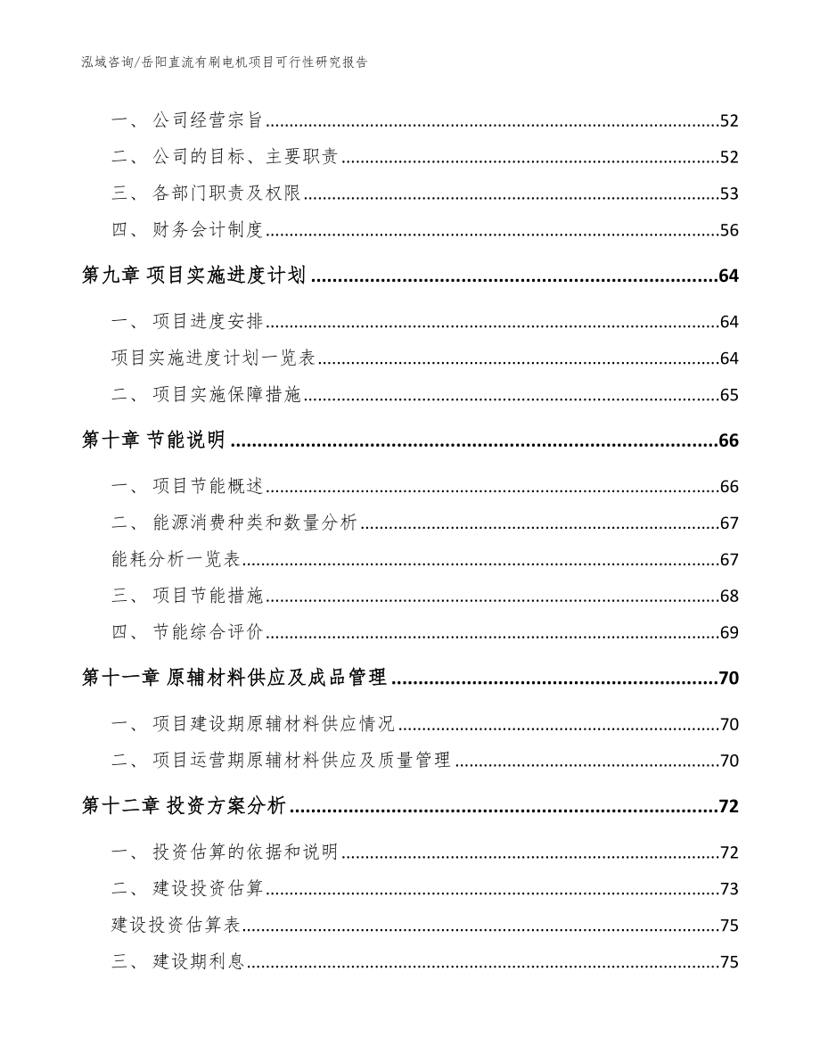 岳阳直流有刷电机项目可行性研究报告【范文】_第4页