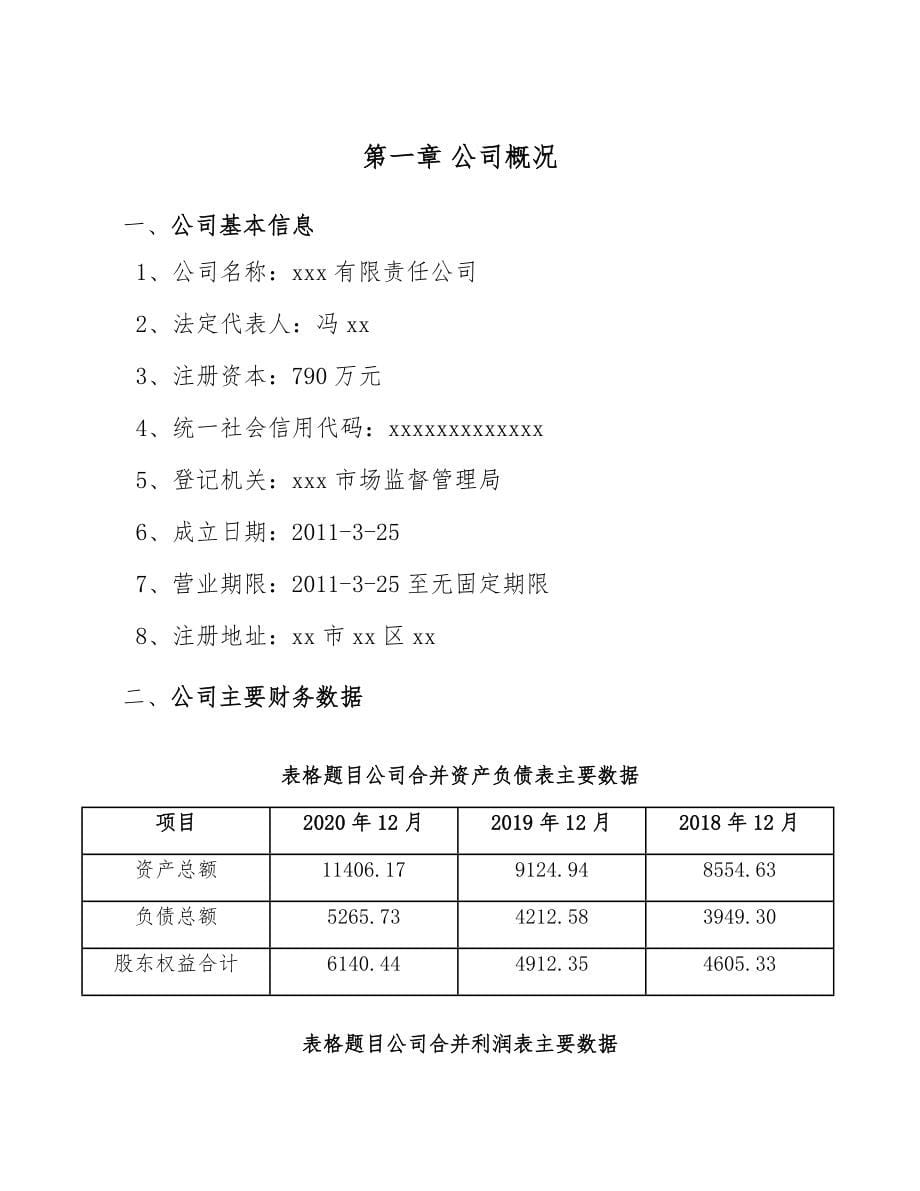 眼科光学仪器公司企业战略管理（范文）_第5页