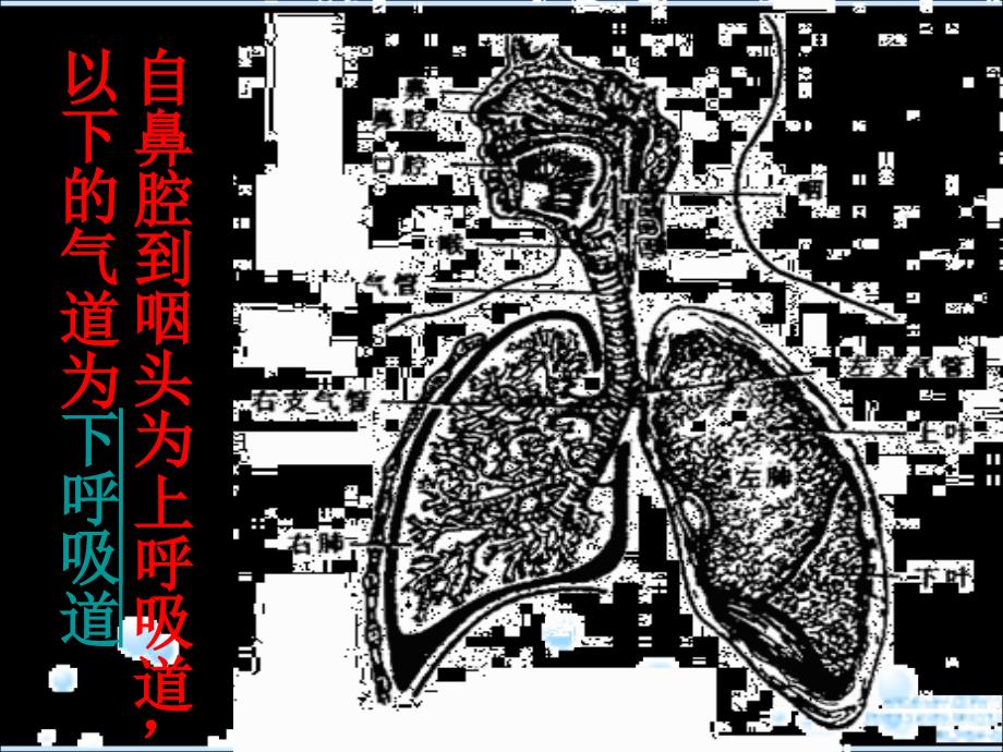 人工气道的建立与与管理_第3页