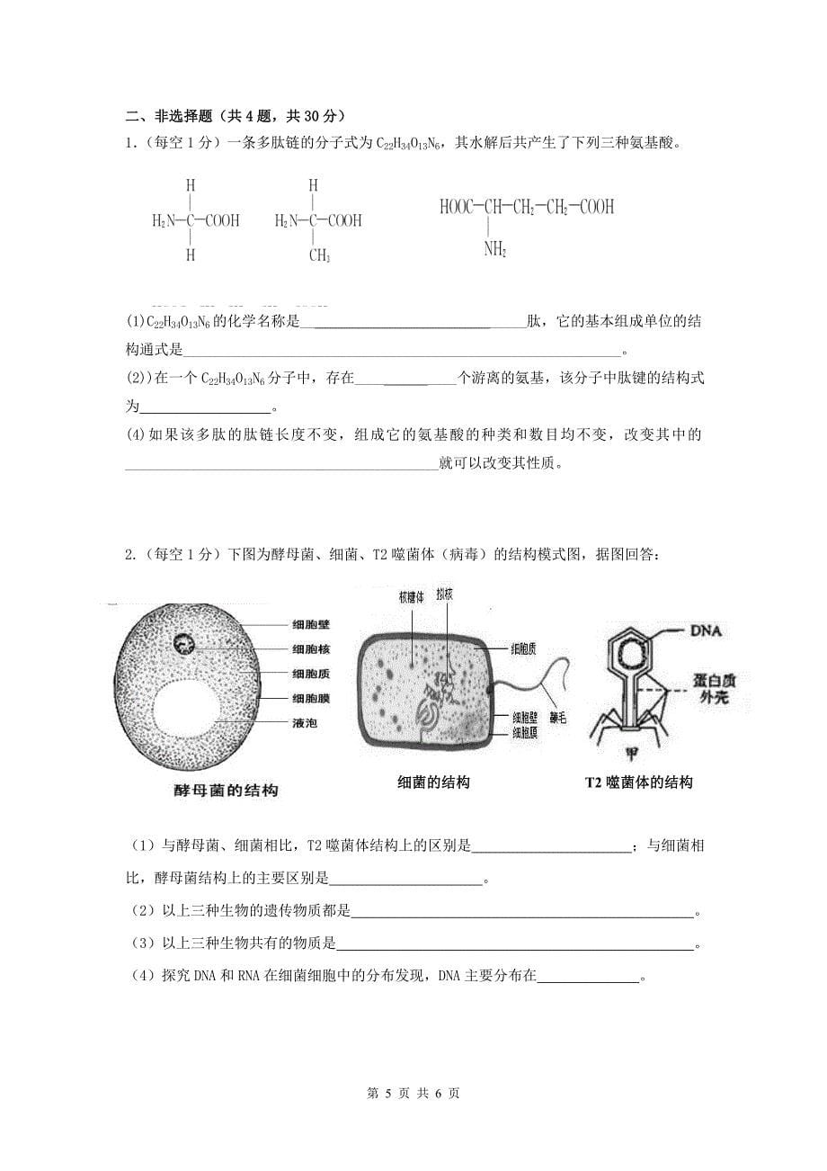 高一生物阶段考试.doc_第5页