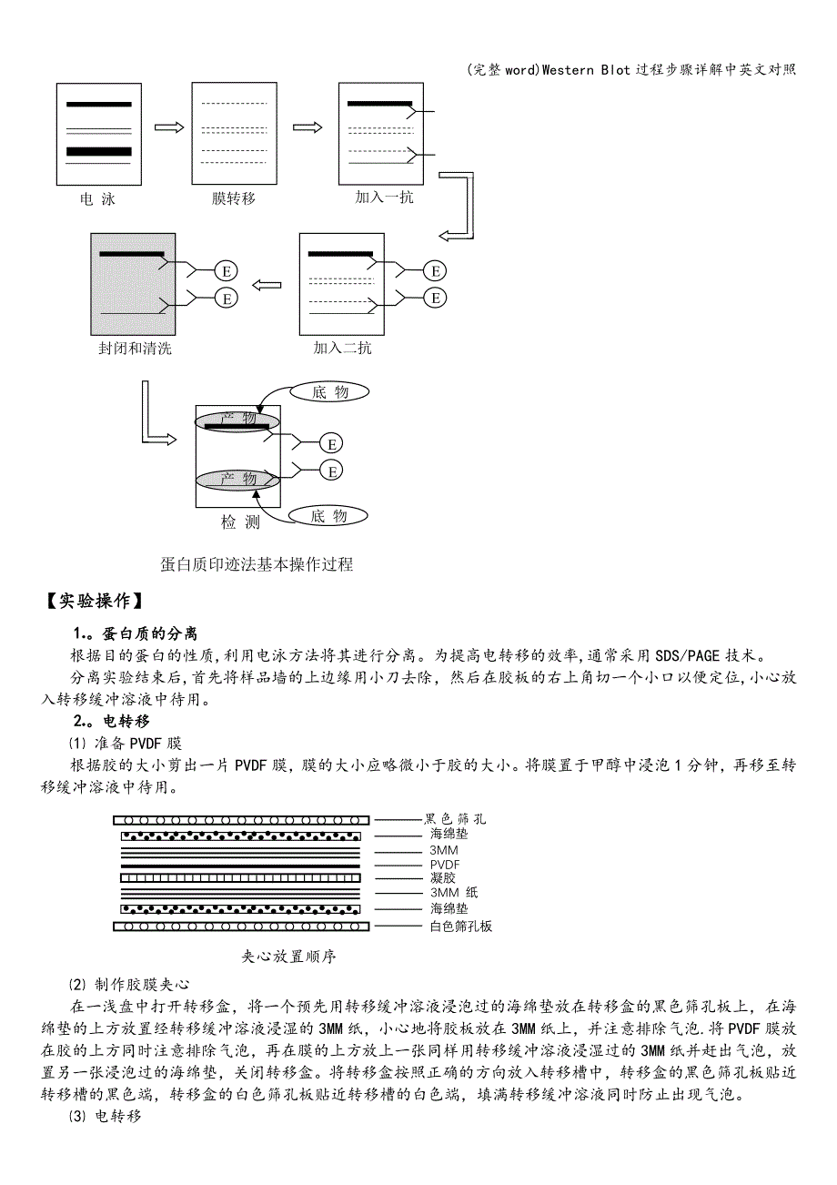 (完整word)Western-Blot过程步骤详解中英文对照.doc_第2页