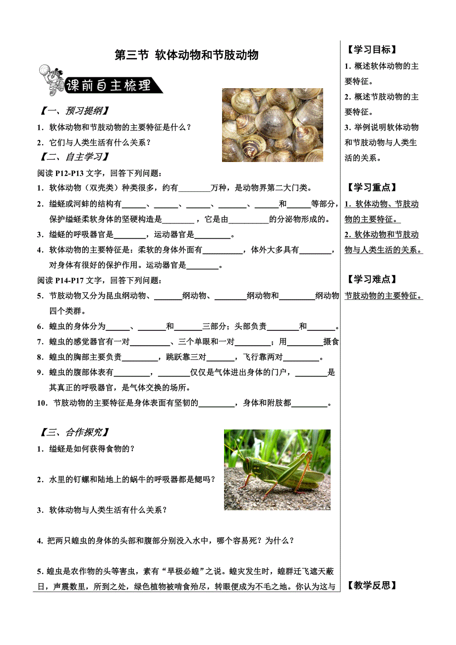 1.3软体动物和节肢动物_第1页