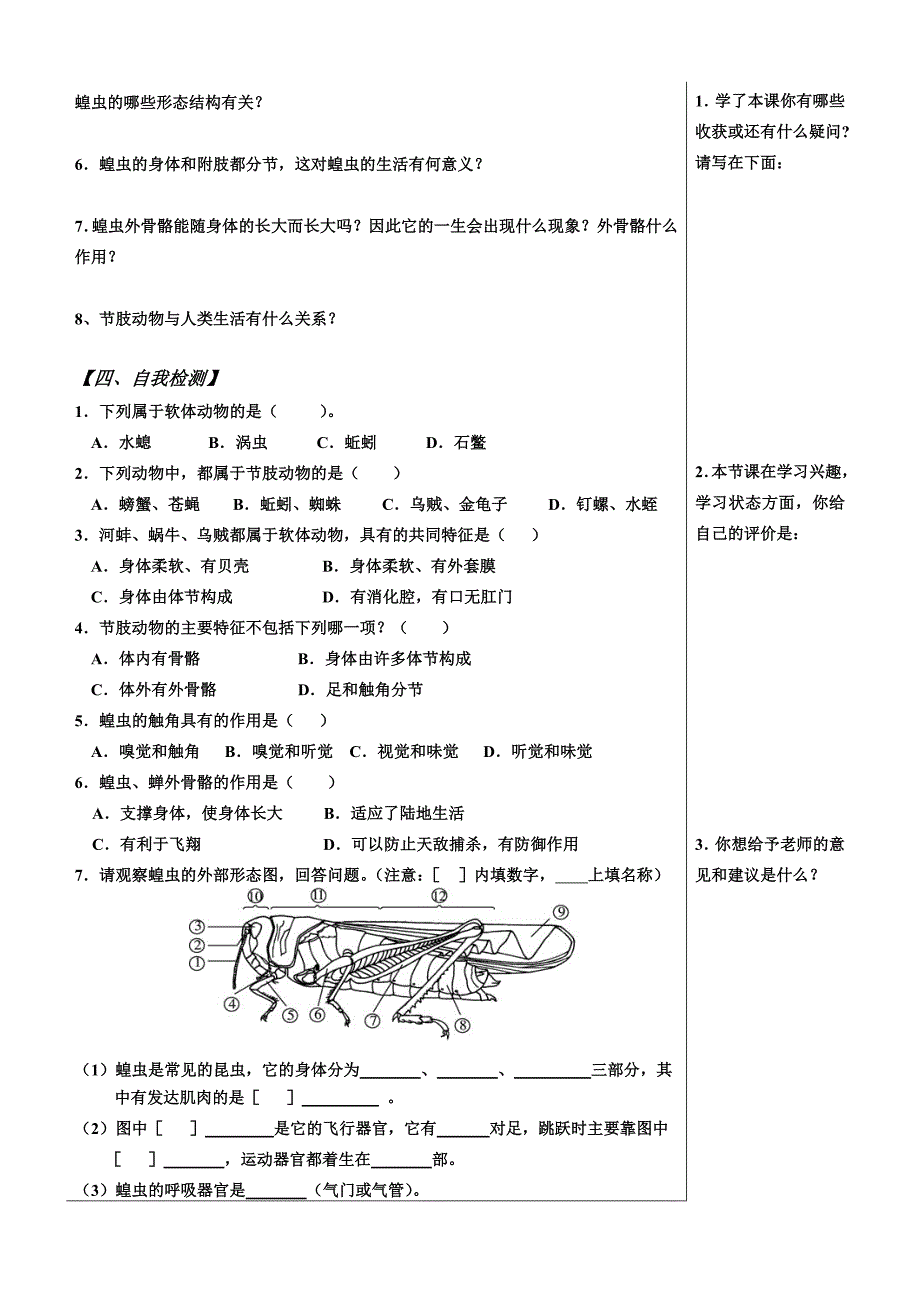 1.3软体动物和节肢动物_第2页