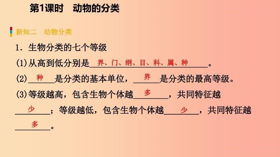 2019年秋七年级科学上册第2章观察生物2.4常见的动物第1课时动物的分类导学课件新版浙教版.ppt_第5页