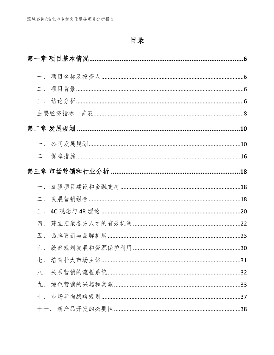 淮北市乡村文化服务项目分析报告模板参考_第2页