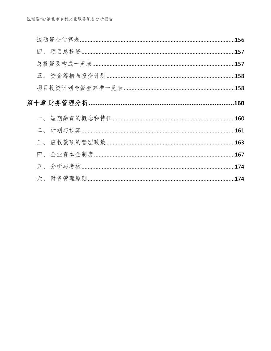 淮北市乡村文化服务项目分析报告模板参考_第5页