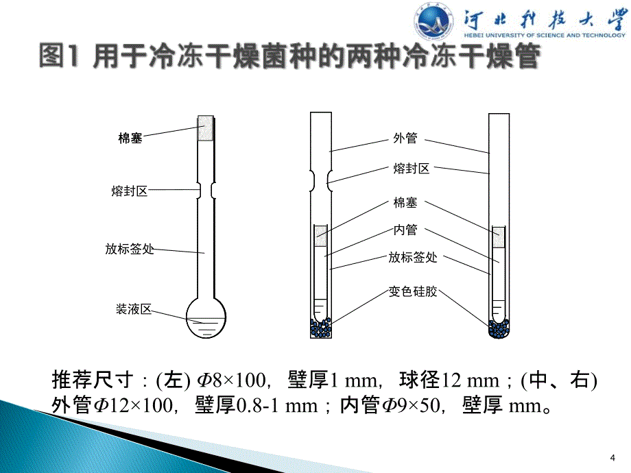 菌种保藏冷冻干燥管的制备_第4页