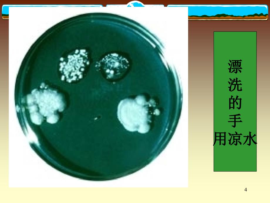 手部的清洗与消毒_第4页