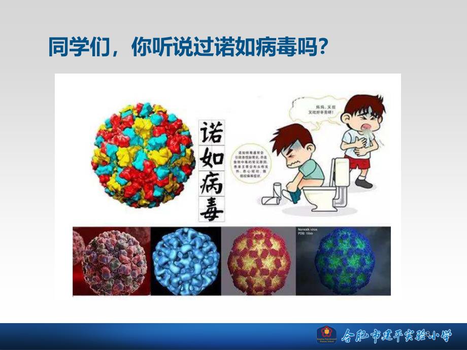 诺如病毒 防控知识 主题班会ppt课件.ppt_第3页