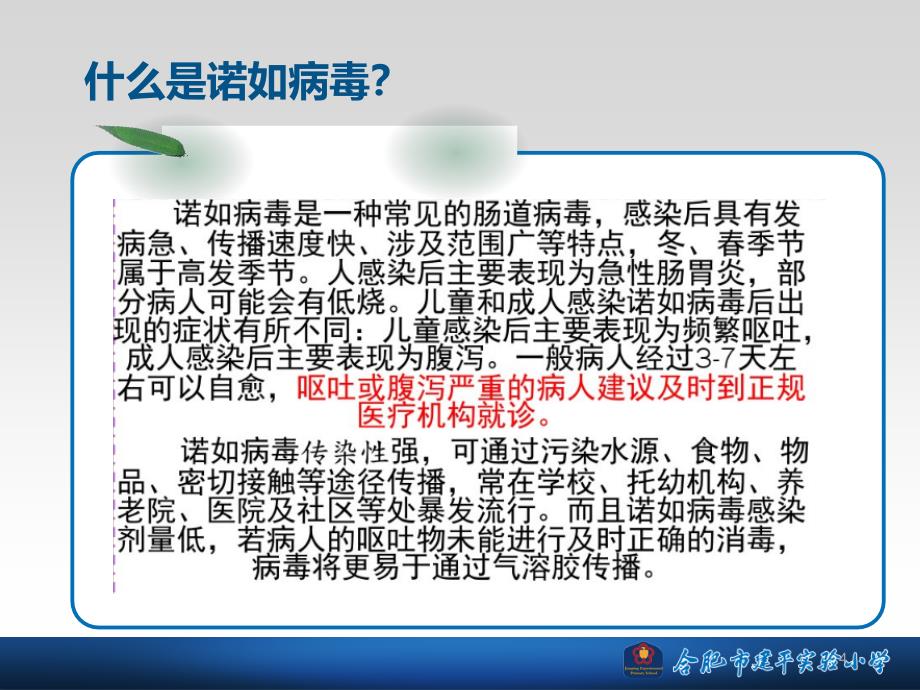 诺如病毒 防控知识 主题班会ppt课件.ppt_第4页