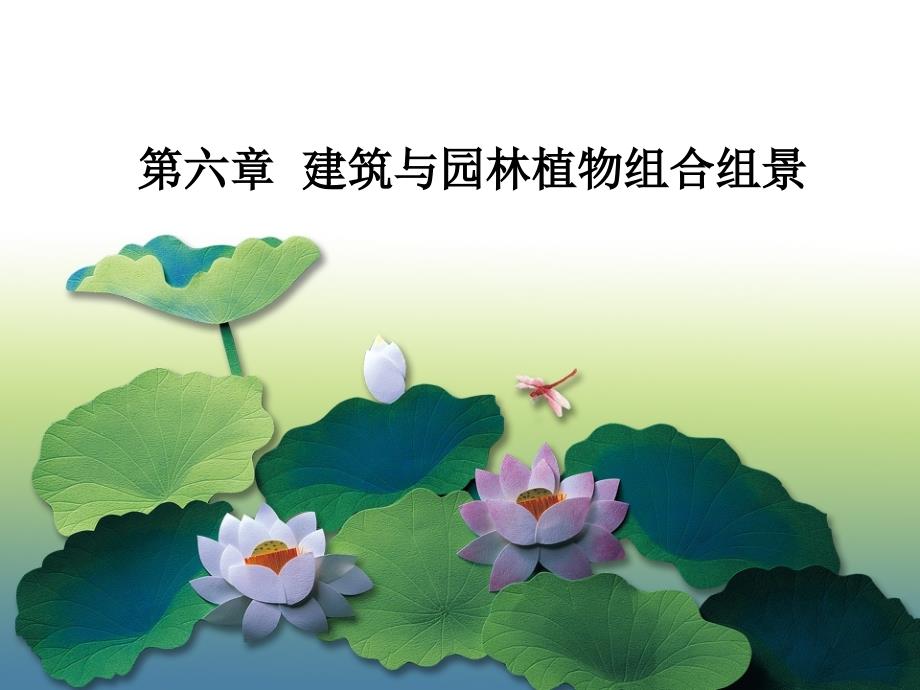 第六章-建筑与植物组景一ppt课件_第1页