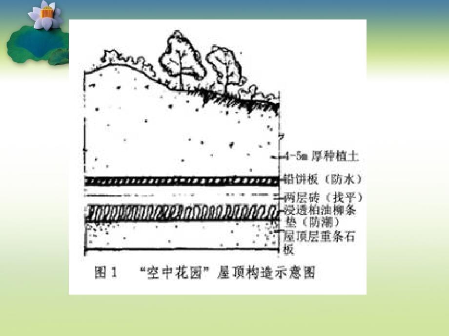 第六章-建筑与植物组景一ppt课件_第4页