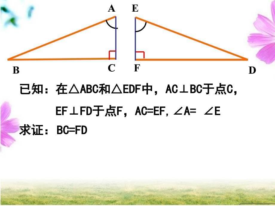 利用三角形全等测距离_第5页