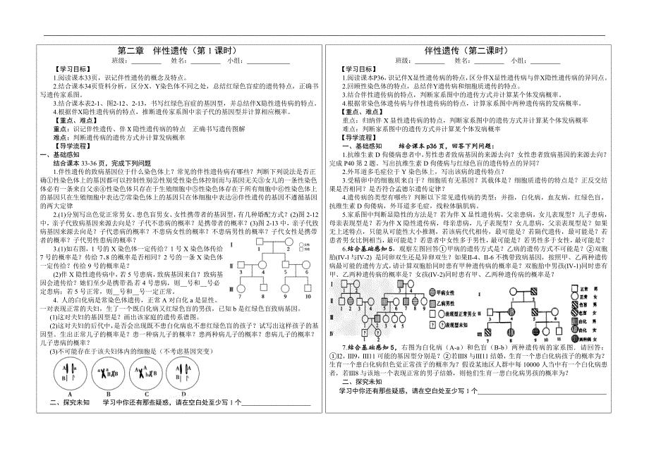 2.3伴性遗传学案 高一生物人教版必修二.doc