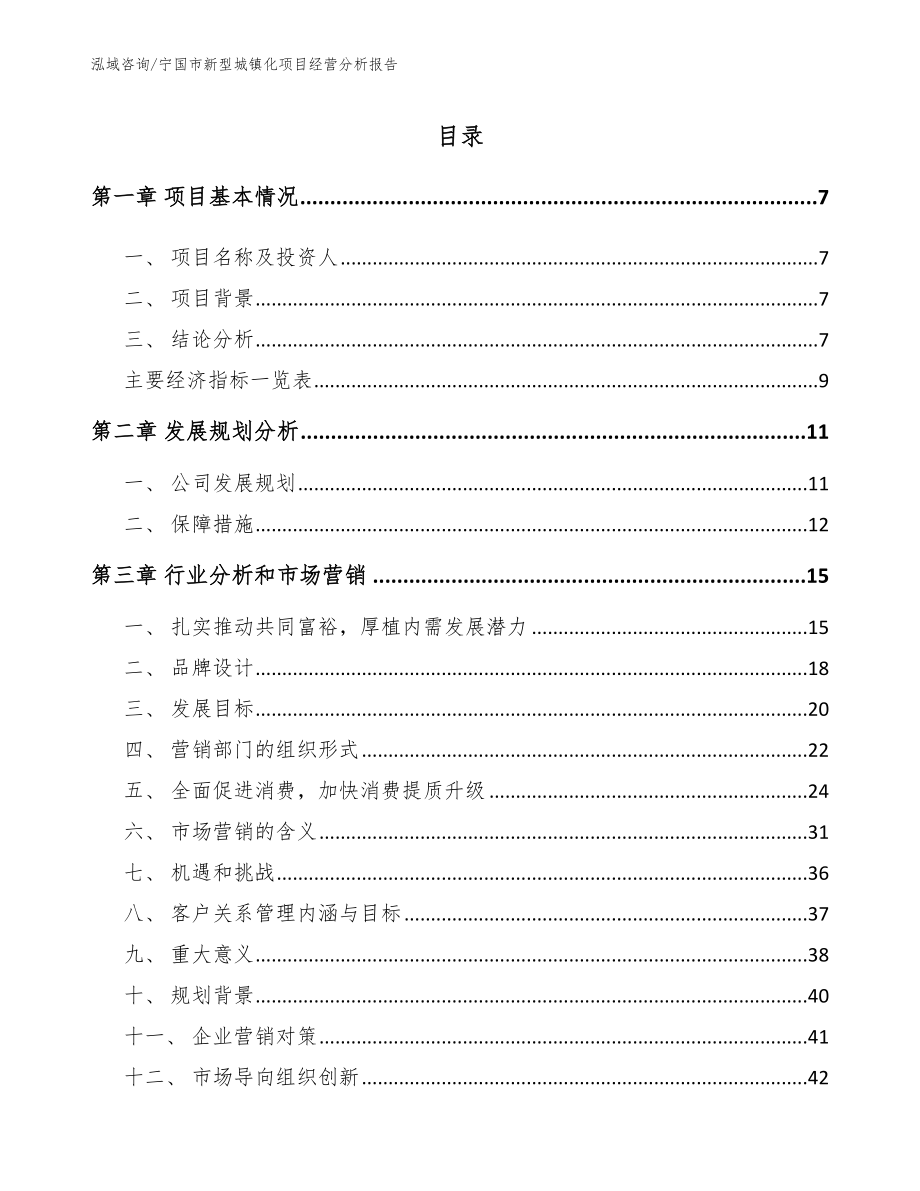 宁国市新型城镇化项目经营分析报告（范文）_第1页