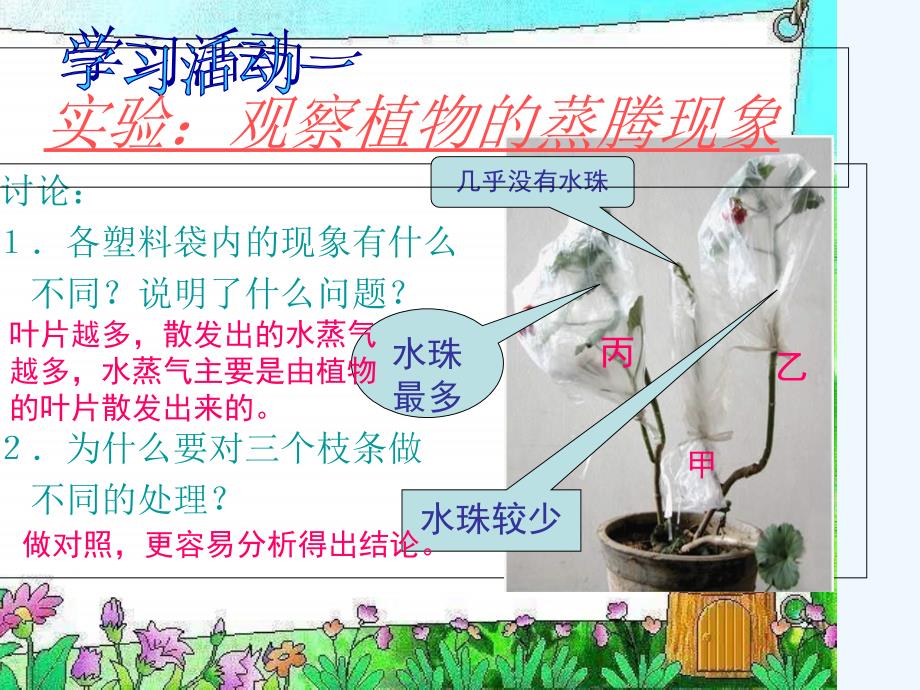 绿色植物的蒸腾作用课件济南版_第5页