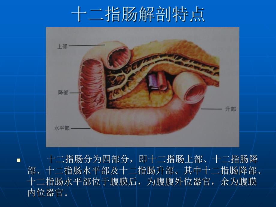 十二指肠损伤文档资料_第1页