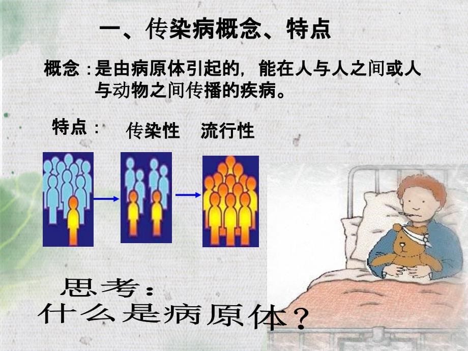 传染病及其预防课件分析_第5页