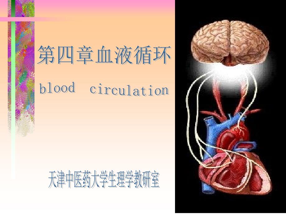 人体解剖生理学课件第六章循环系统的结构与功能1_第1页