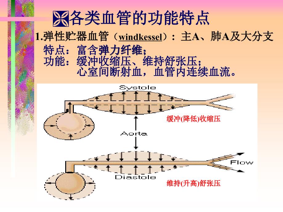 人体解剖生理学课件第六章循环系统的结构与功能1_第4页