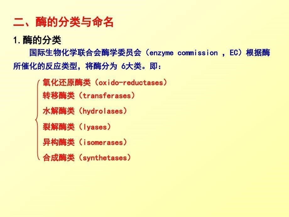 第一节酶工程概述_第5页